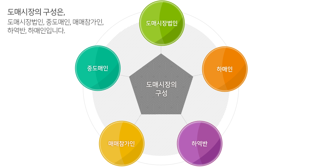 도매시장의 구성은 도매시장법인, 중도매인, 매매참가인, 하역반, 하매인입니다.