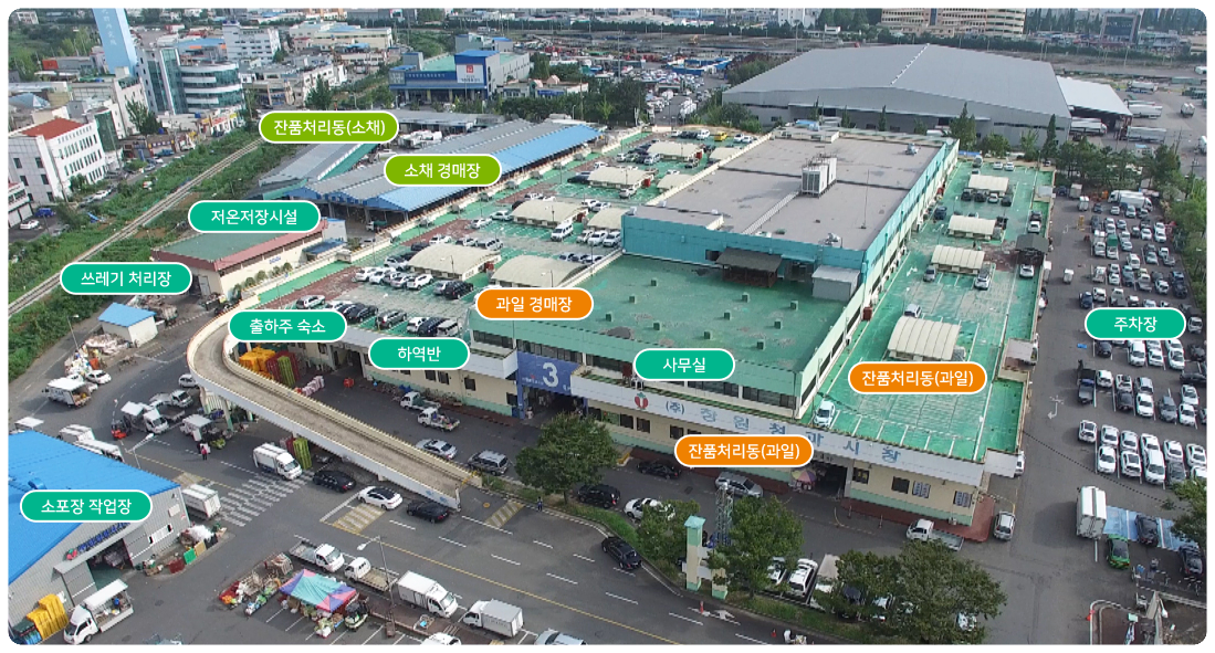 도매시장 주요시설은 과일 경매장, 소채 경매장, 소포장 작업장, 저온저장시설, 출하주 숙소, 중도매인 잔품처리동, 사무실(영업부·관리부·임원실)